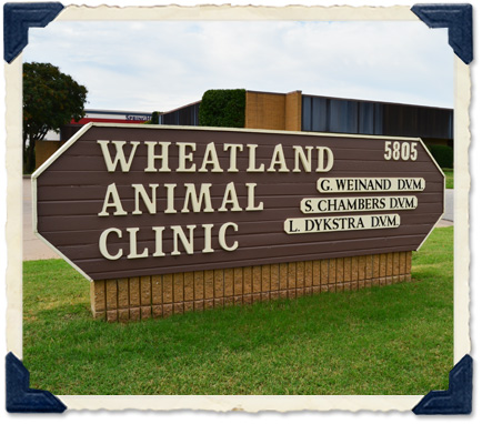 Enid animal clinic, OK